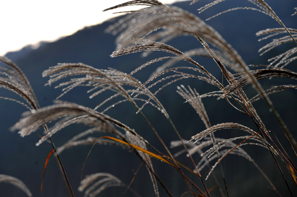 14 1018 DSC_0653.jpg